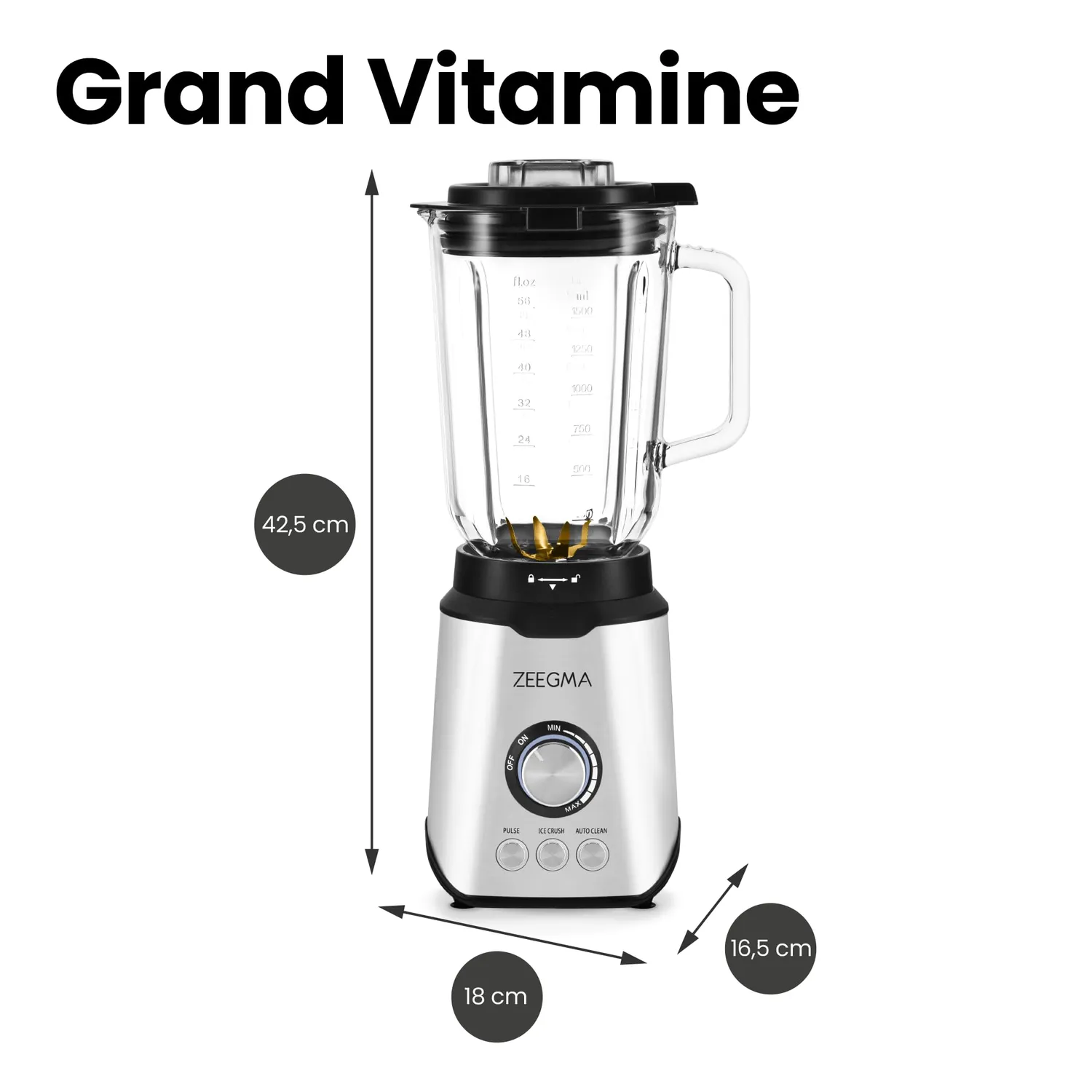 ZEEGMA Grand Vitamine Standmixer Silber 1,75 L 1600 W
