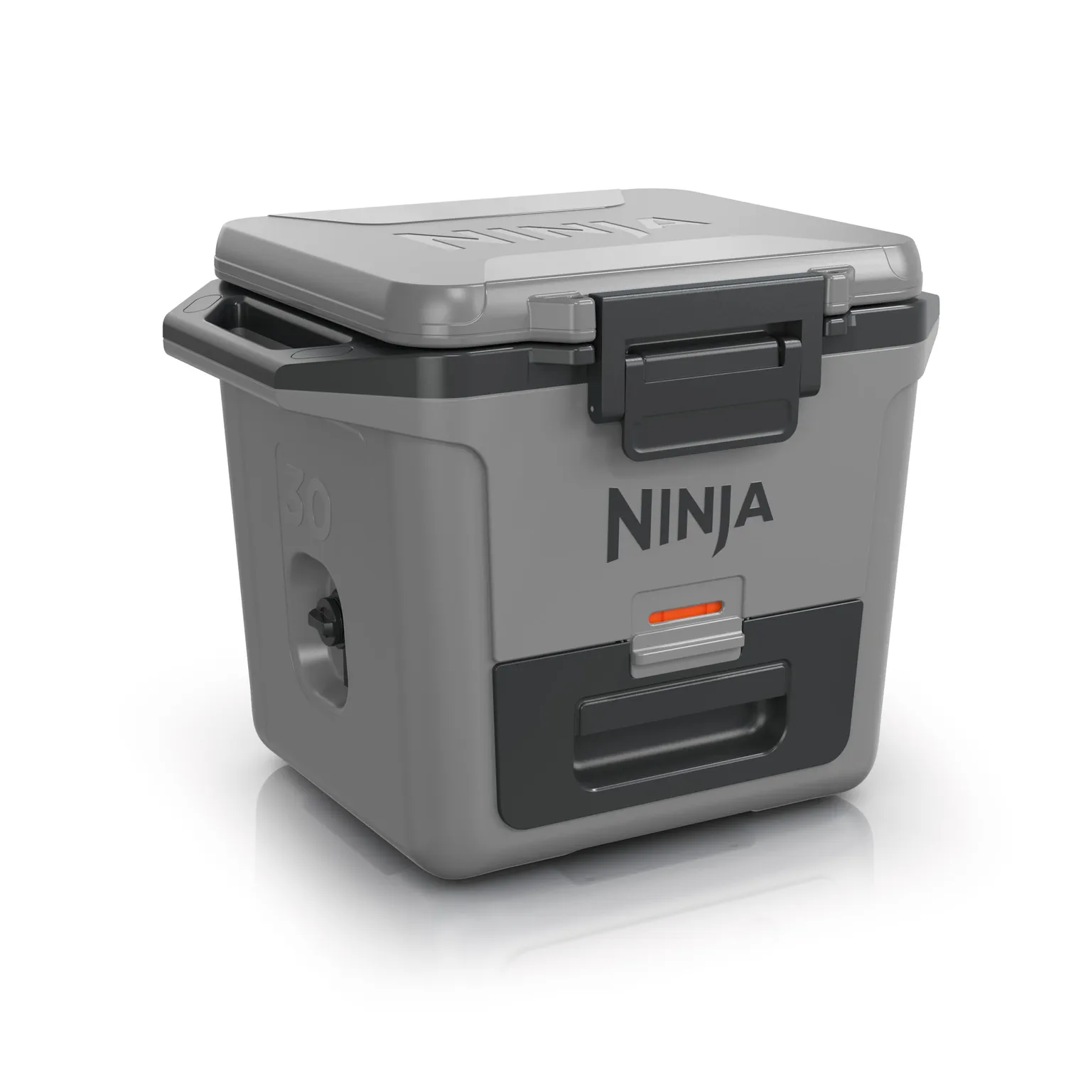 Ninja FrostVault Kühlbox 47 L Grau isoliert