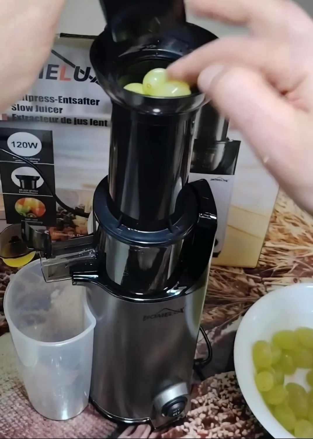 HOMELUX Slow Juicer 220W Entsafter Silber 126 mm kaltpressend