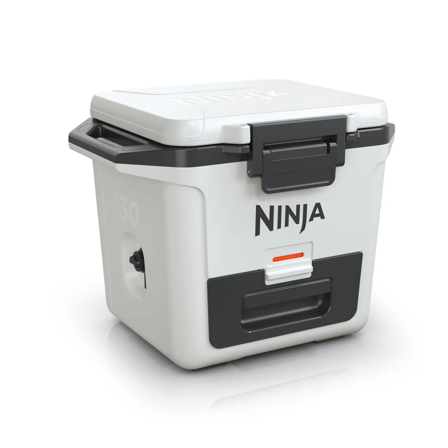 Ninja FrostVault Kühlbox 47 L Grau isoliert