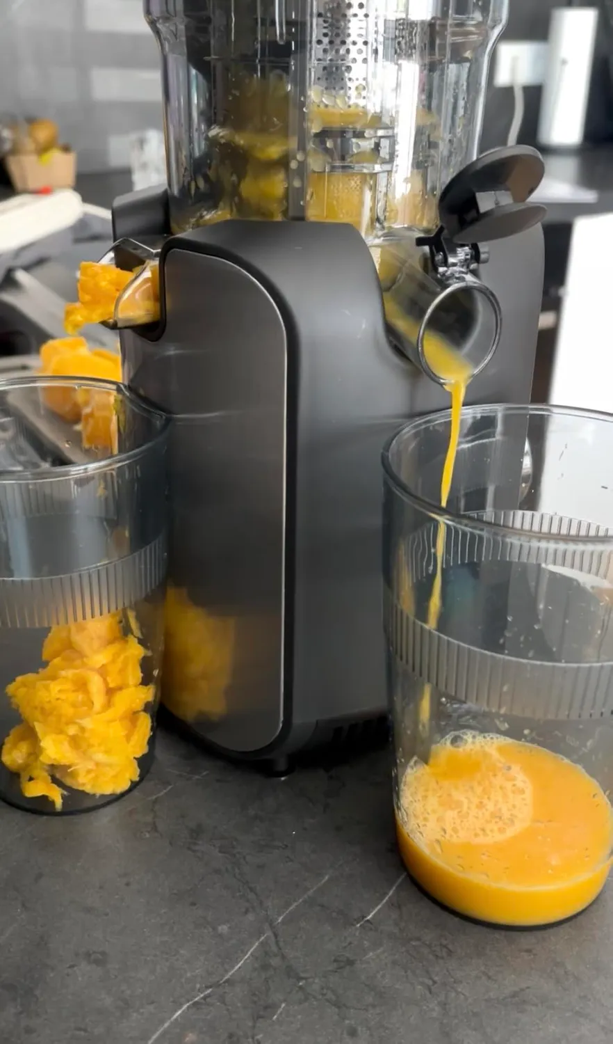 HOMELUX Slow Juicer 220W Entsafter Silber 126 mm kaltpressend