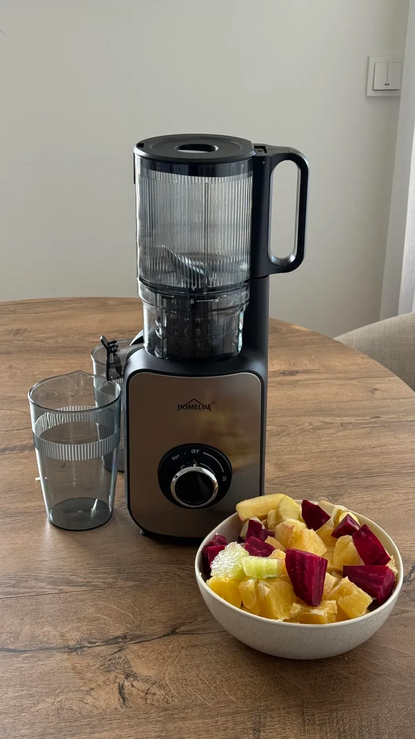 HOMELUX Slow Juicer 220W Entsafter Silber 126 mm kaltpressend