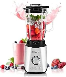 ZEEGMA Grand Vitamine Standmixer Silber 1,75 L 1600 W