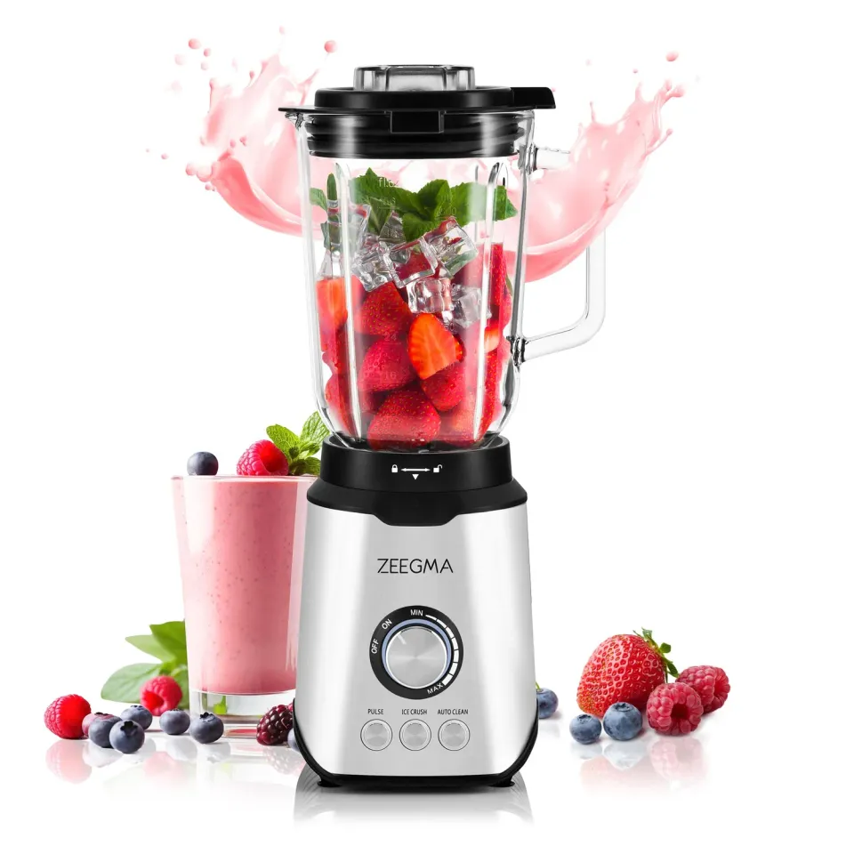 ZEEGMA Grand Vitamine Standmixer Silber 1,75 L 1600 W