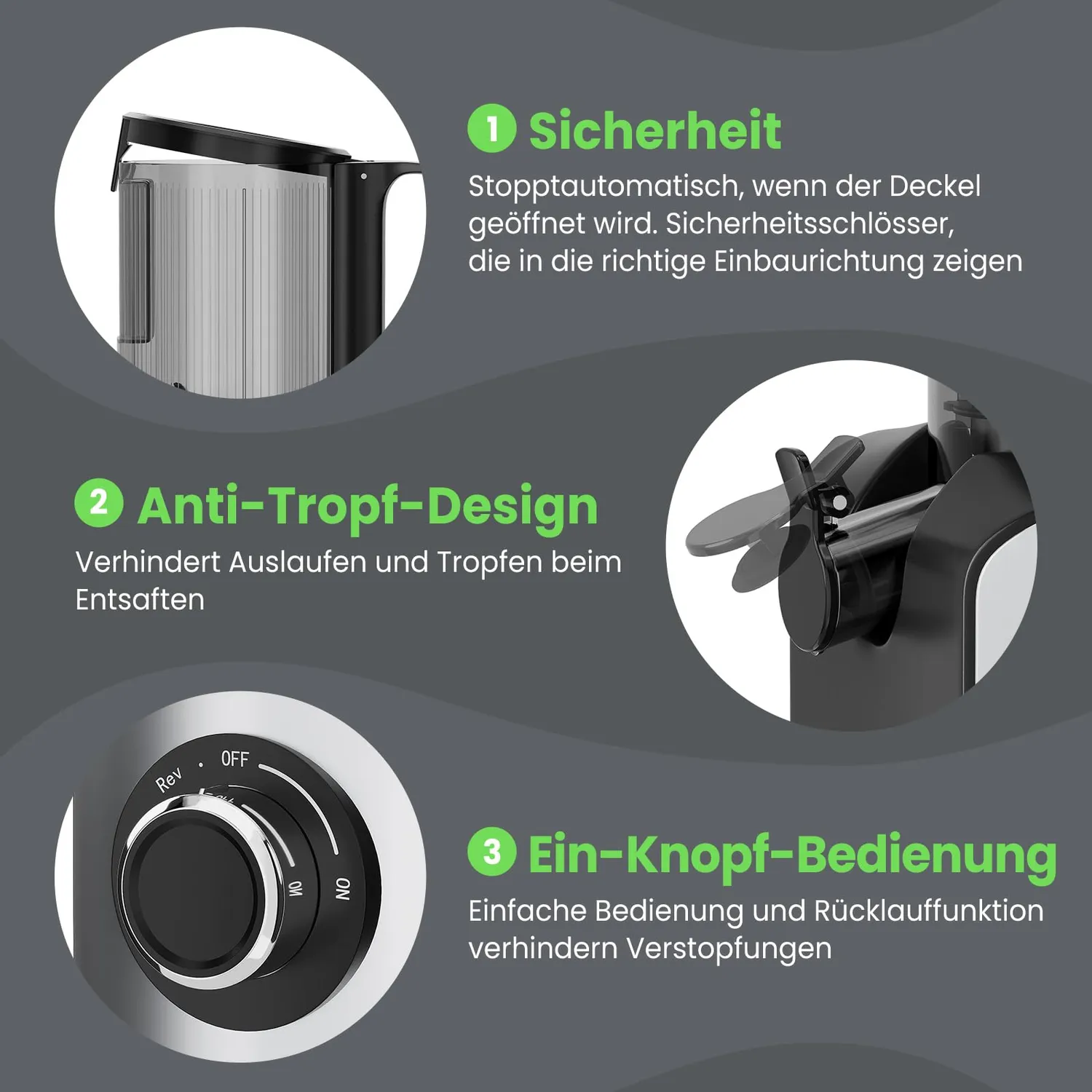 HOMELUX Slow Juicer 220W Entsafter Silber 126 mm kaltpressend