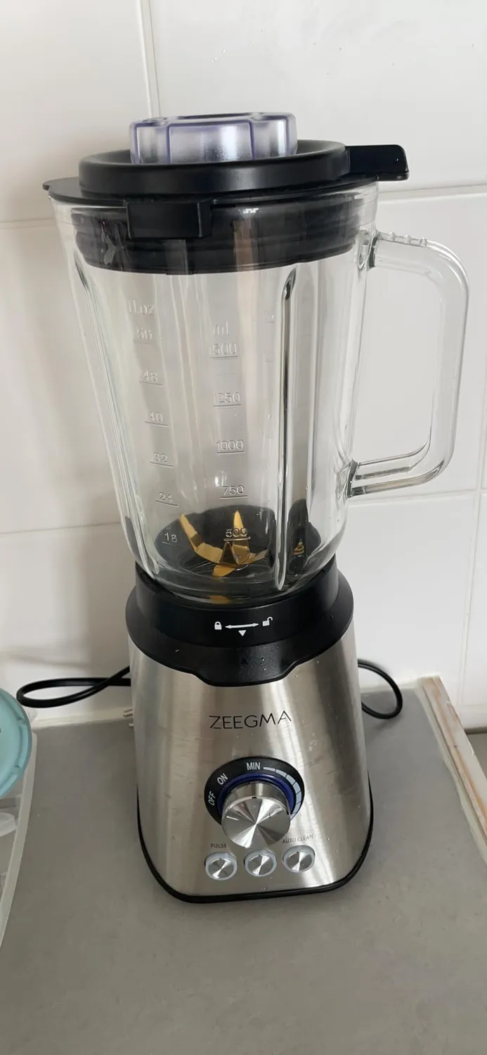ZEEGMA Grand Vitamine Standmixer Silber 1,75 L 1600 W