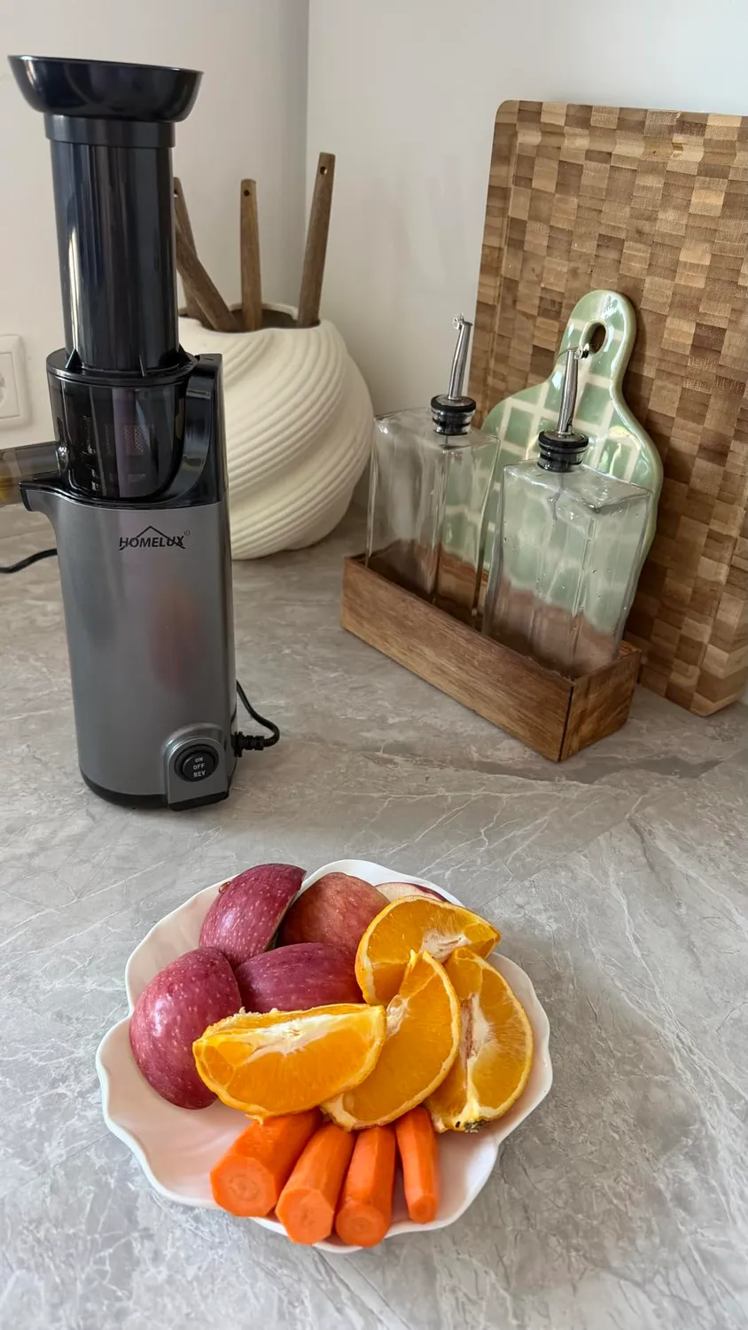 HOMELUX Slow Juicer 220W Entsafter Silber 126 mm kaltpressend