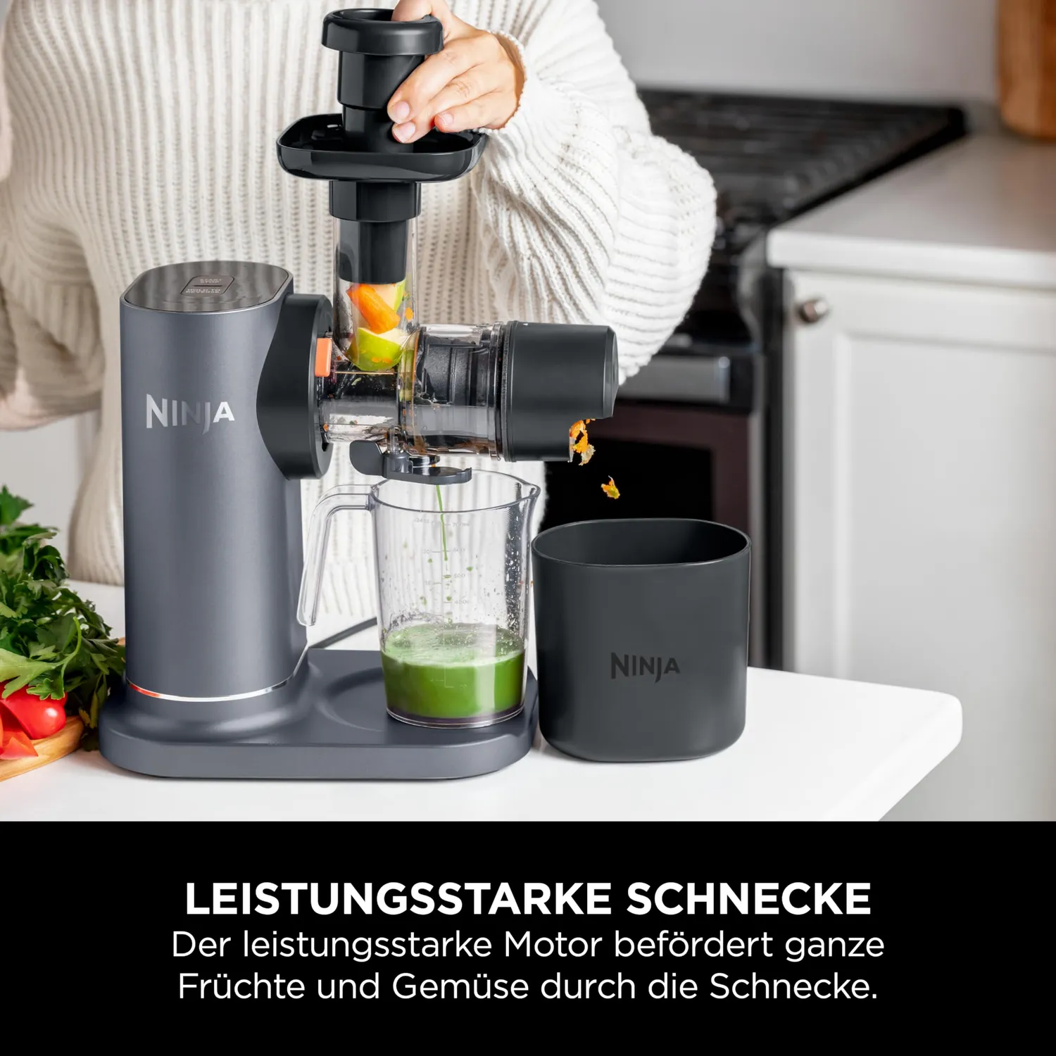 Ninja Kaltpresse-Entsafter 700ml Grau Slow Juicer Obst Gemüse