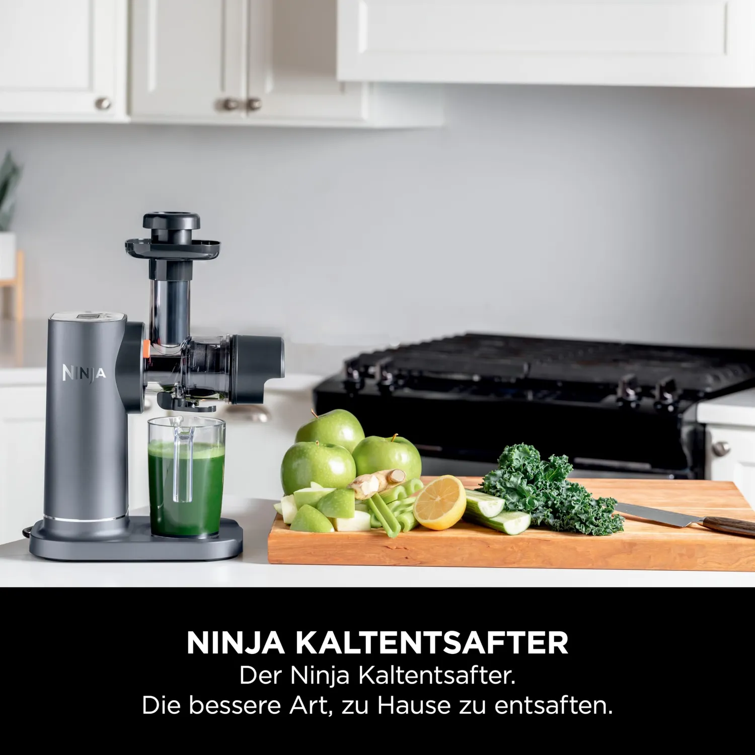 Ninja Kaltpresse-Entsafter 700ml Grau Slow Juicer Obst Gemüse