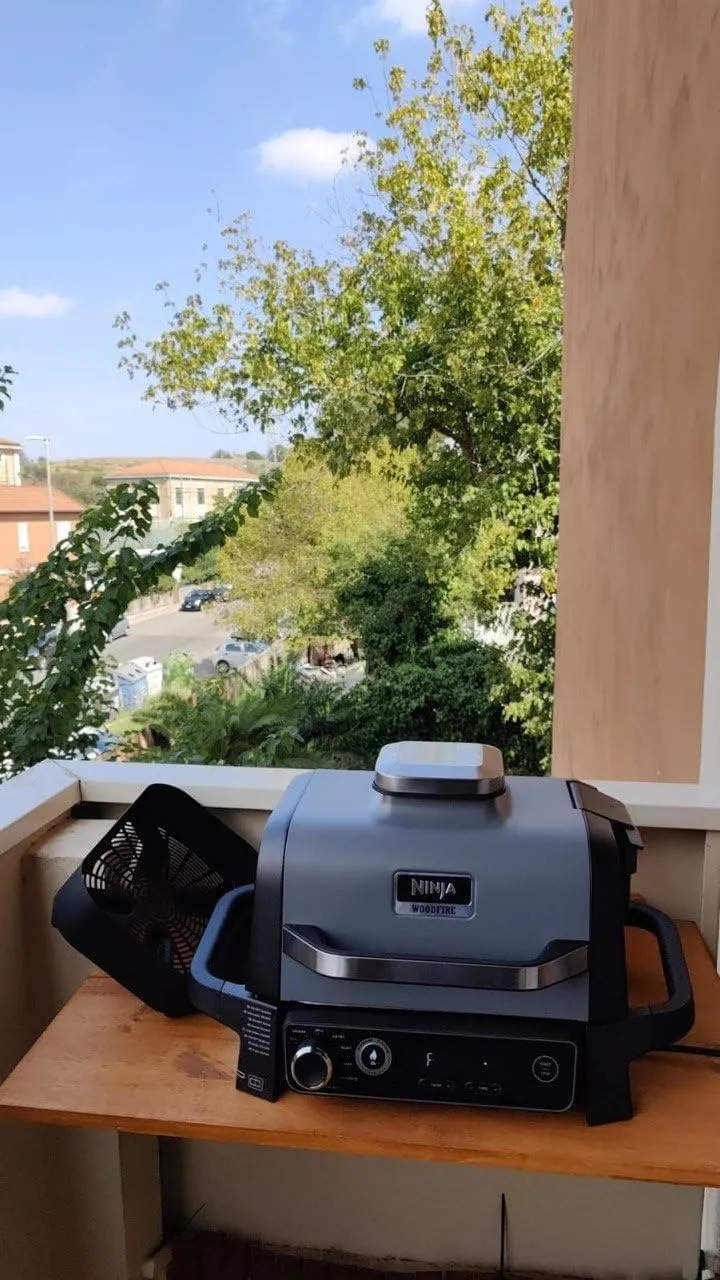 Ninja Woodfire OG701EU Elektrogrill 7-in-1 grau Outdoor