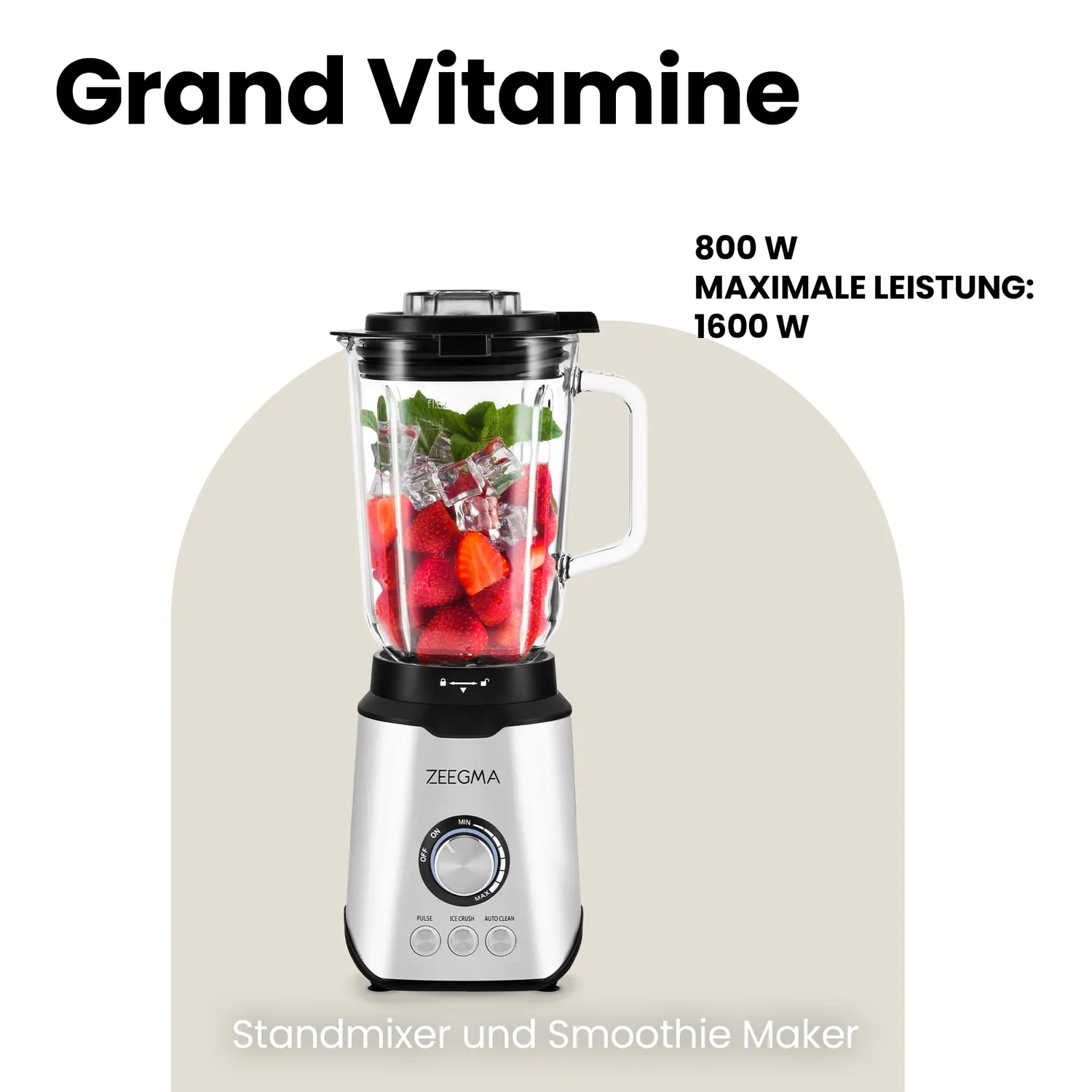 ZEEGMA Grand Vitamine Standmixer Silber 1,75 L 1600 W