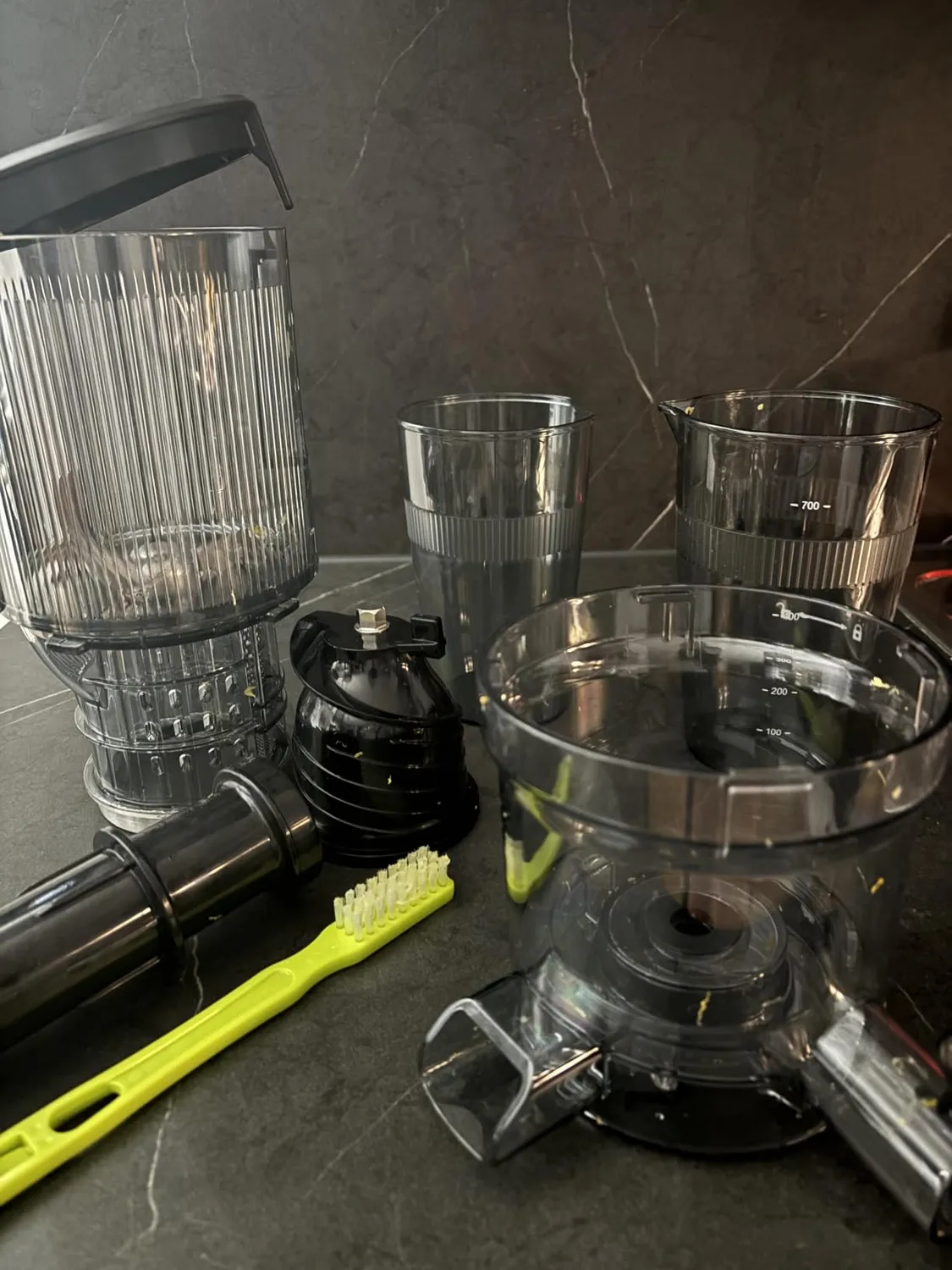 HOMELUX Slow Juicer 220W Entsafter Silber 126 mm kaltpressend