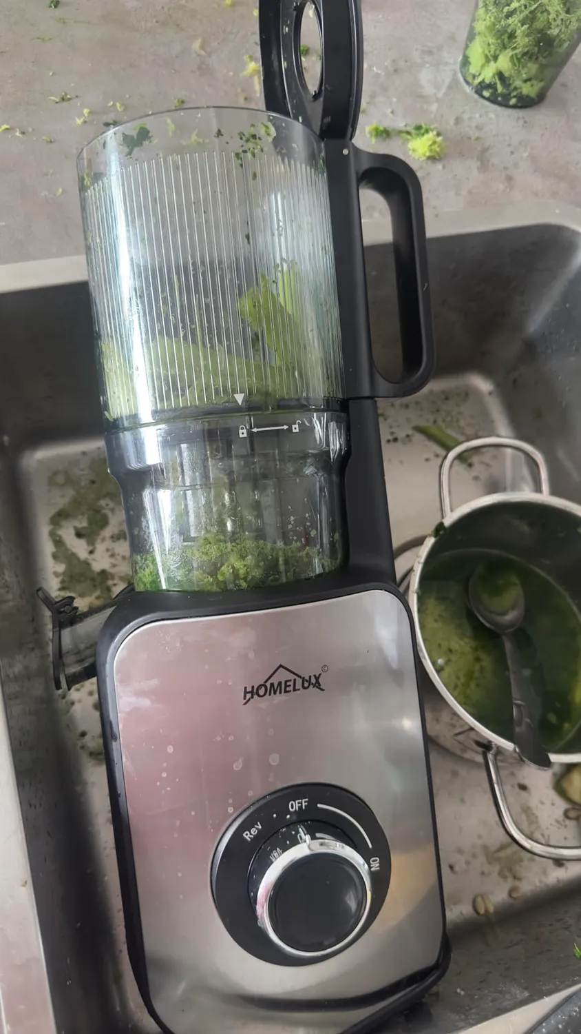 HOMELUX Slow Juicer 220W Entsafter Silber 126 mm kaltpressend