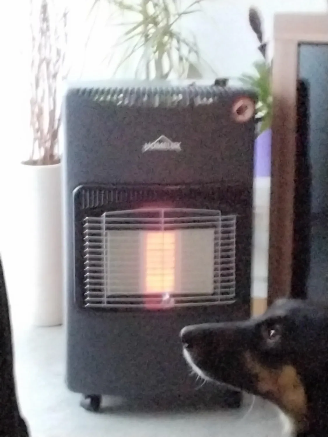 HOMELUX Gasheizung 4200 Watt Infrarot-Heizstrahler 82m³