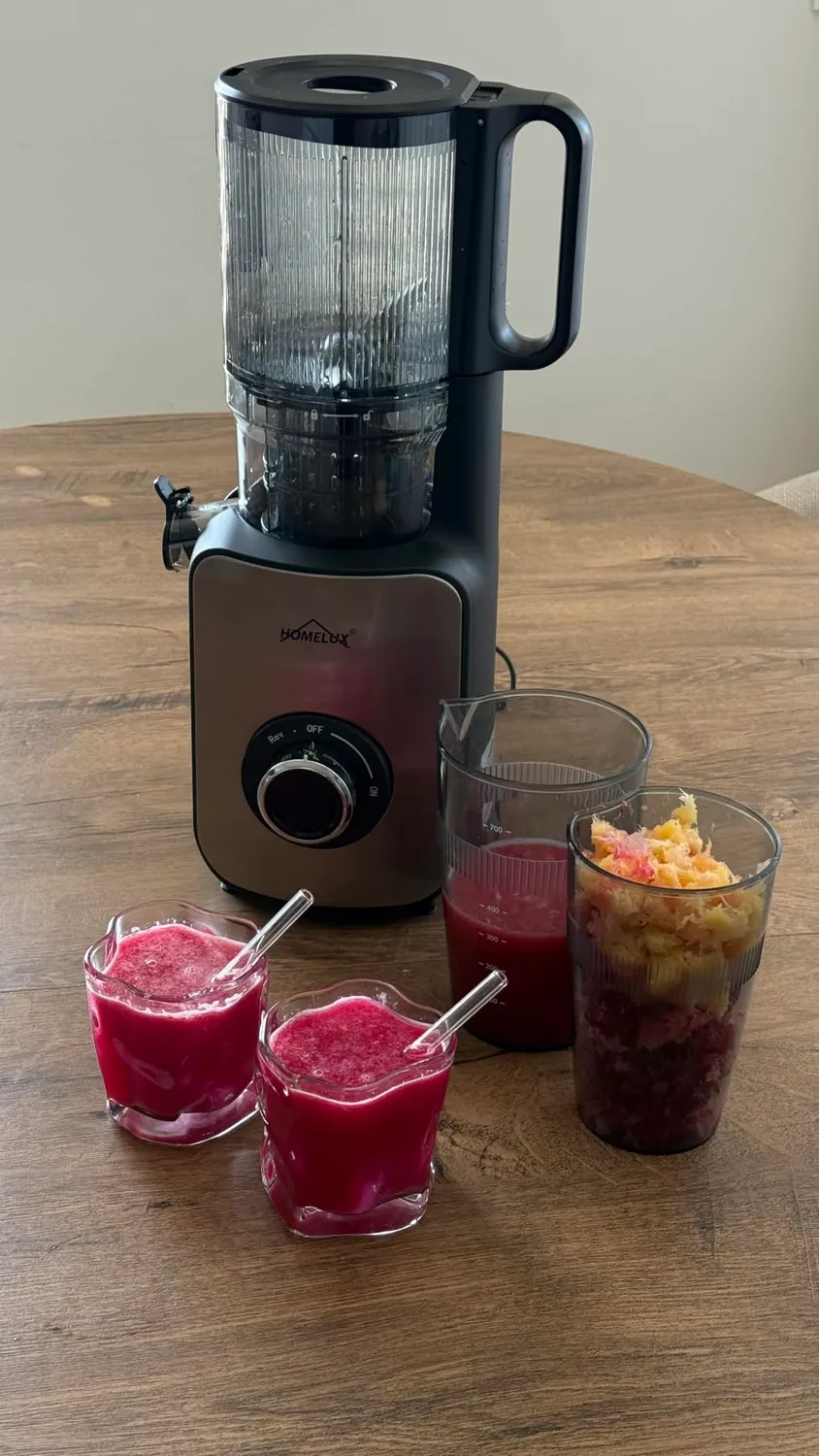 HOMELUX Slow Juicer 220W Entsafter Silber 126 mm kaltpressend